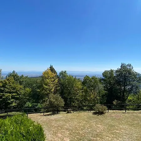Le Panorama - Gites Marck Turckheim Exterior photo