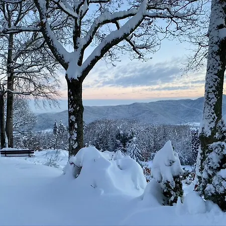 Le Panorama - Gites Marck Turckheim Exterior photo