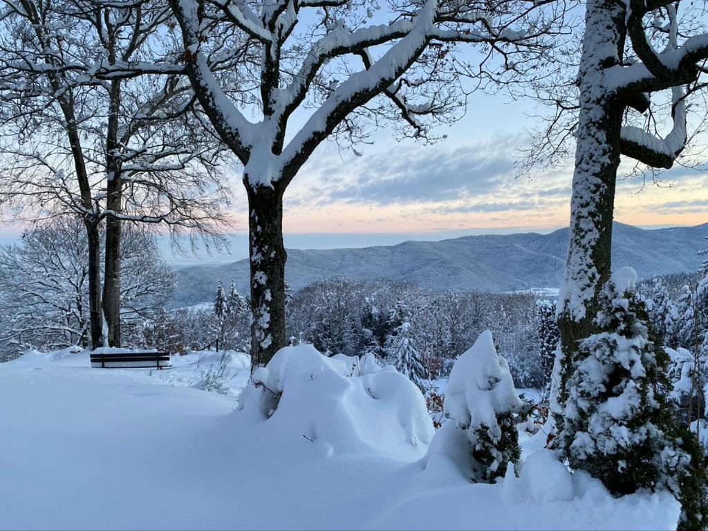 Appartement Le Panorama - Marck Turckheim